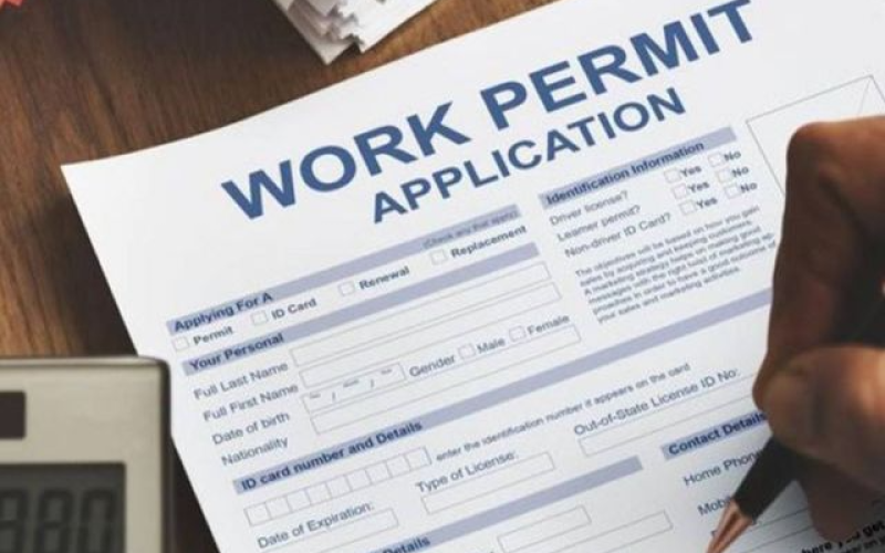 Work-Permit-Application-Form-d85
